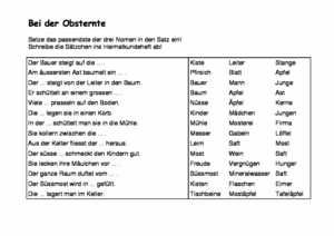 Vorschau themen/apfel/Obsternte 2.Kl.pdf